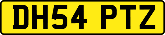 DH54PTZ