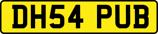 DH54PUB