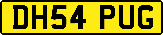 DH54PUG
