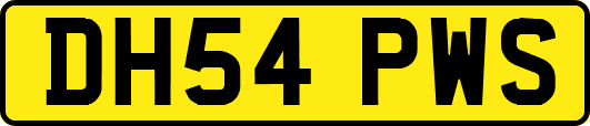 DH54PWS