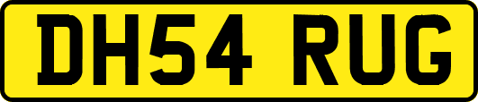 DH54RUG