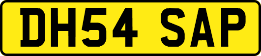 DH54SAP