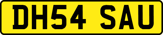 DH54SAU