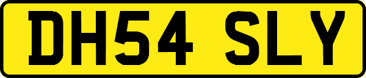 DH54SLY