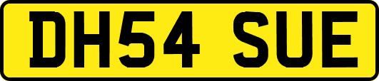 DH54SUE