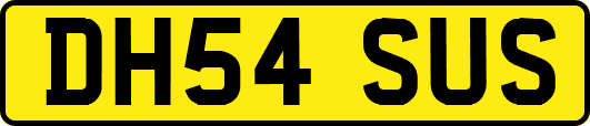 DH54SUS