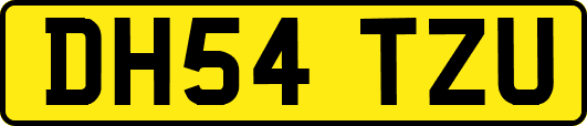 DH54TZU