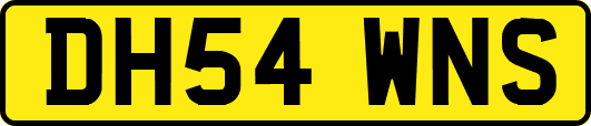 DH54WNS