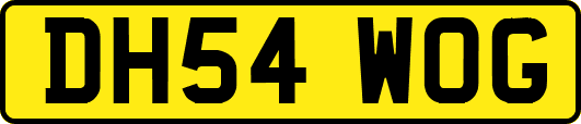 DH54WOG