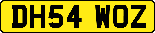 DH54WOZ