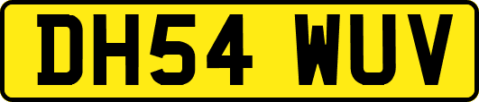 DH54WUV
