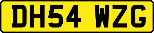 DH54WZG
