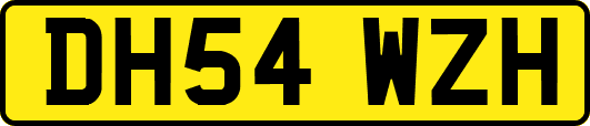 DH54WZH