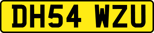 DH54WZU