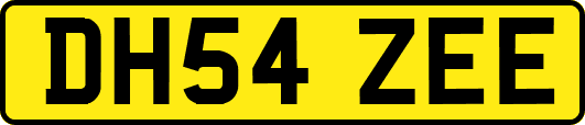 DH54ZEE