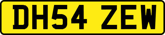 DH54ZEW
