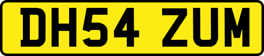 DH54ZUM