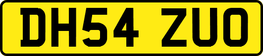 DH54ZUO