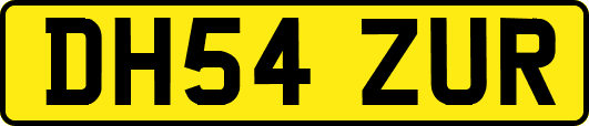 DH54ZUR