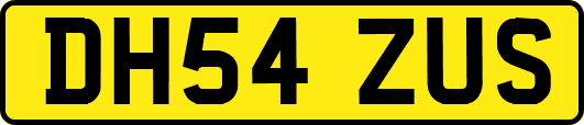 DH54ZUS
