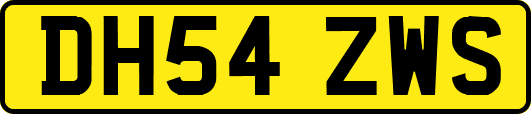 DH54ZWS