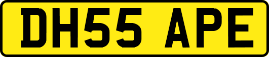 DH55APE