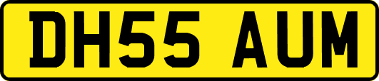 DH55AUM