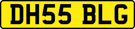 DH55BLG
