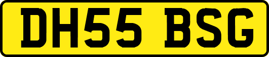 DH55BSG