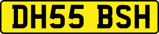 DH55BSH