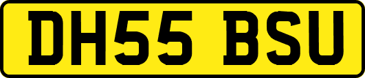 DH55BSU