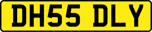 DH55DLY