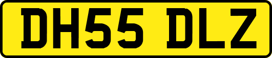 DH55DLZ