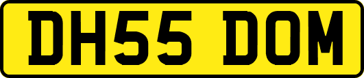 DH55DOM
