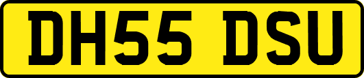 DH55DSU