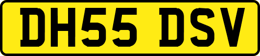 DH55DSV