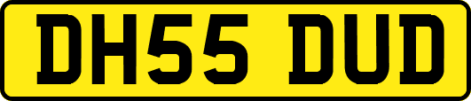DH55DUD