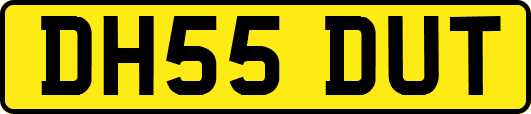DH55DUT