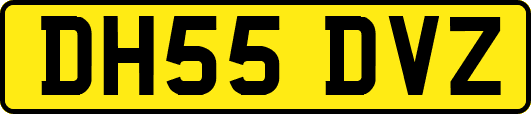DH55DVZ