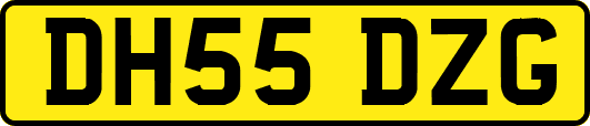 DH55DZG
