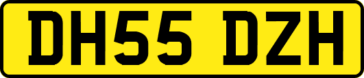 DH55DZH