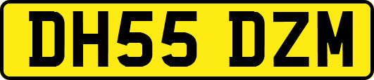 DH55DZM