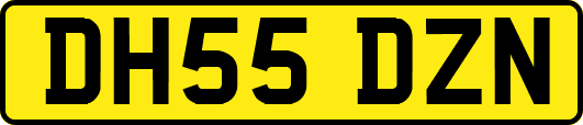 DH55DZN