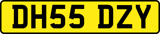 DH55DZY