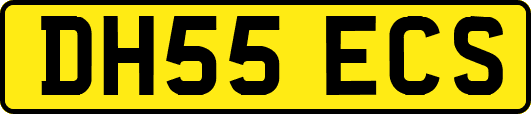 DH55ECS