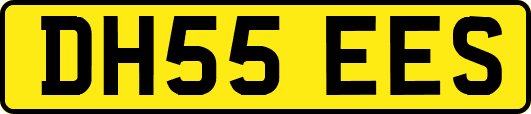 DH55EES