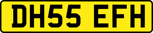 DH55EFH