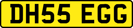 DH55EGG