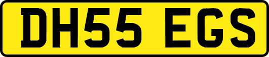 DH55EGS