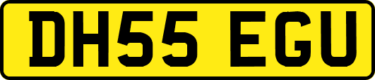 DH55EGU